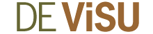 devisu logo